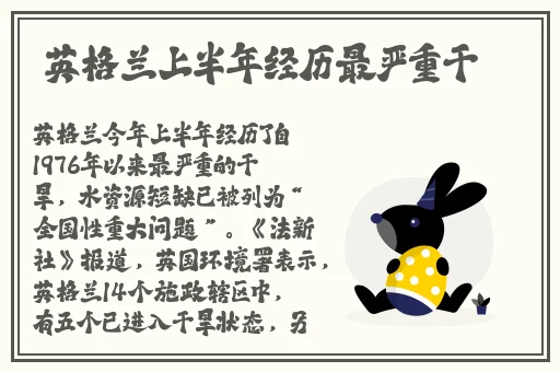 粉色视频免费观看视频在线观看
